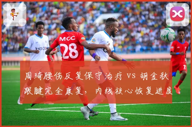 周琦腰伤反复保守治疗 vs 胡金秋跟腱完全康复，内线核心恢复进度对比